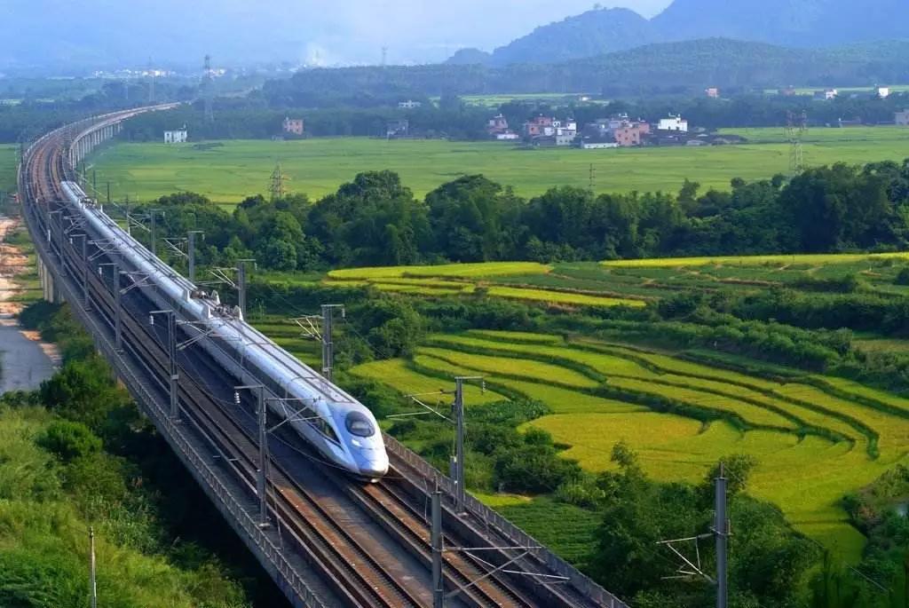 福建（貴 族 鱷）運動鞋