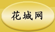 花城皮具厂
