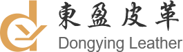 惠州市东盈皮革有限公司
