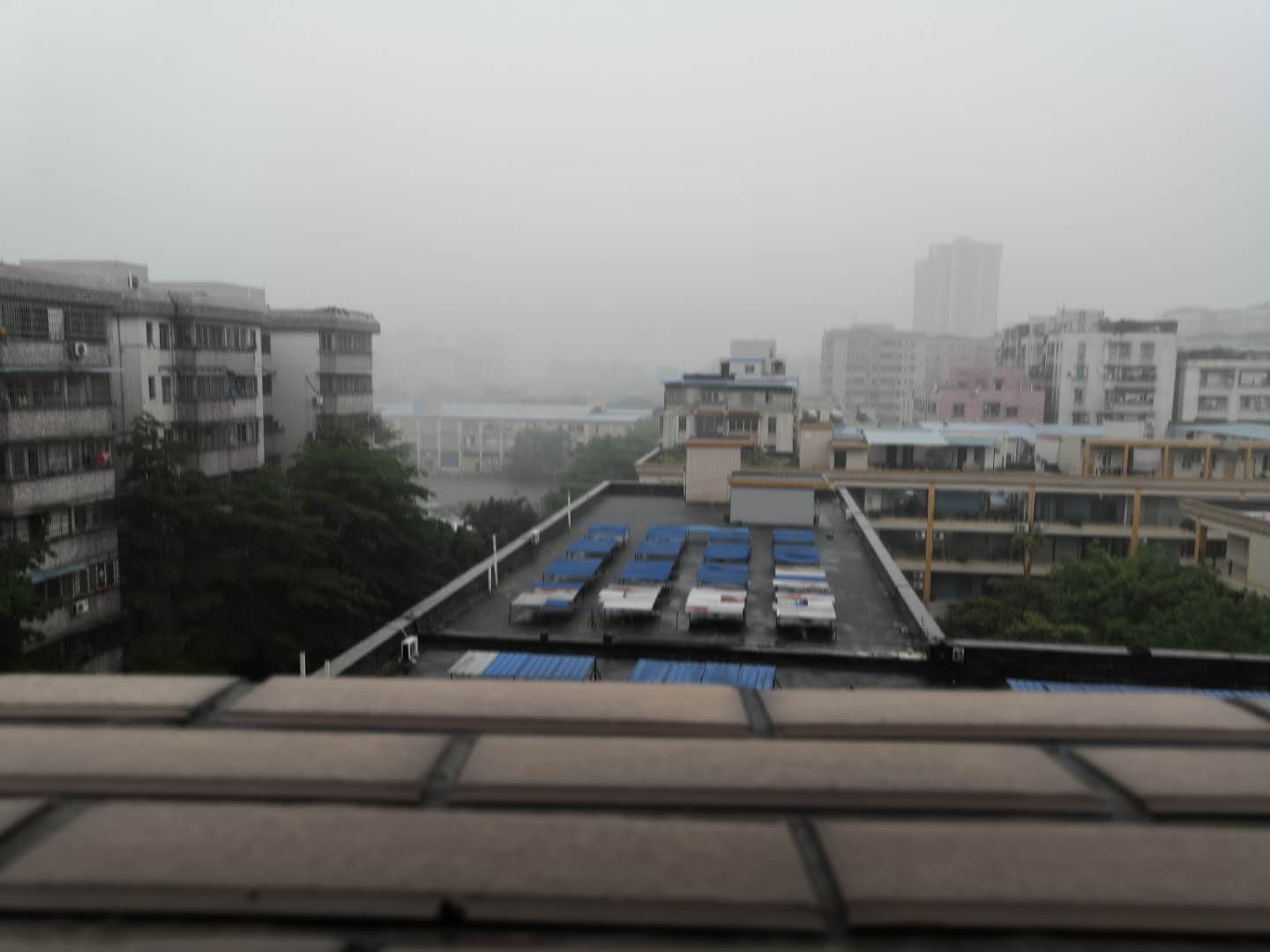 佛山市顺泰鞋材有限公司