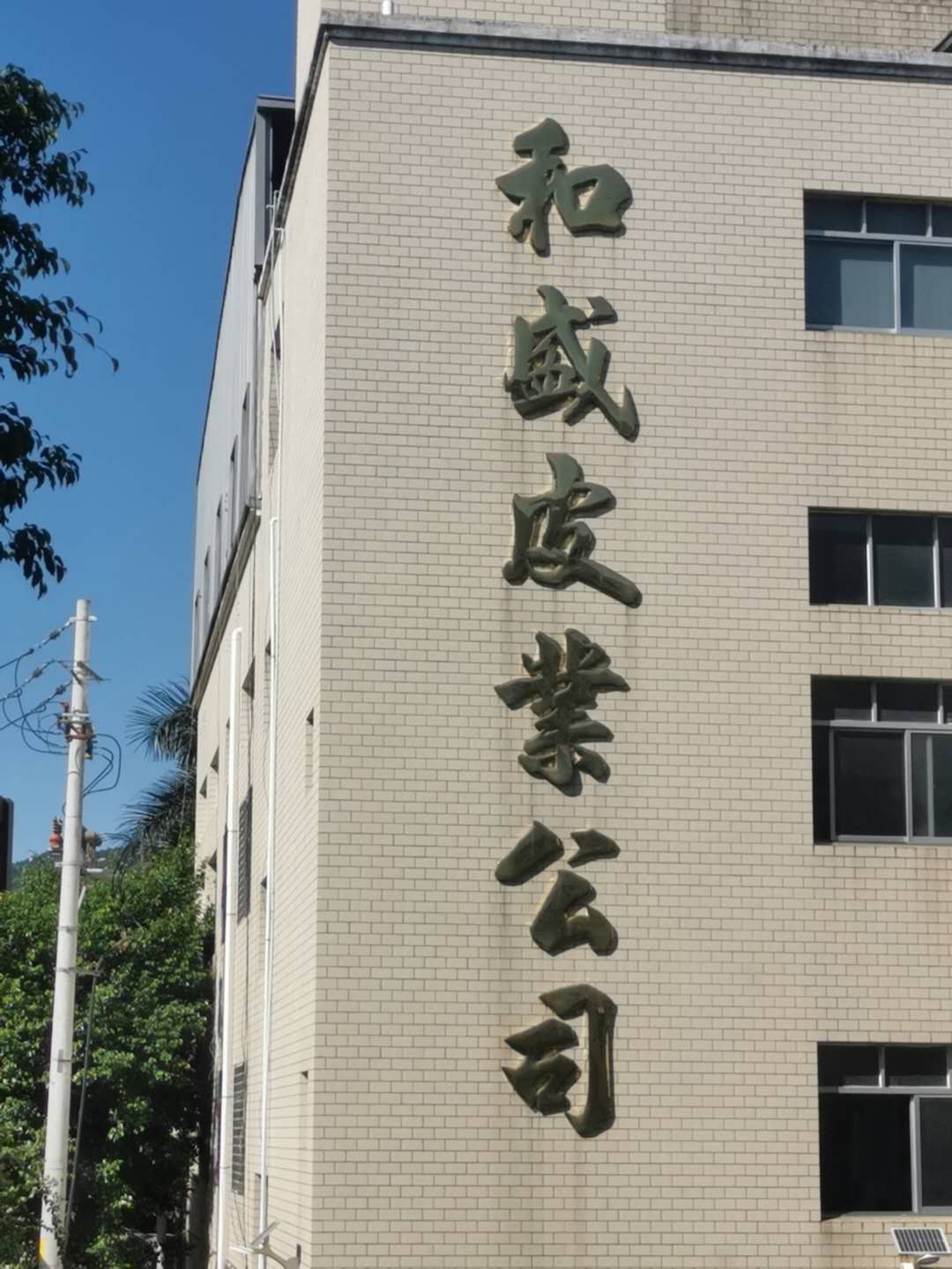 晋江和盛皮革制品工贸有限公司